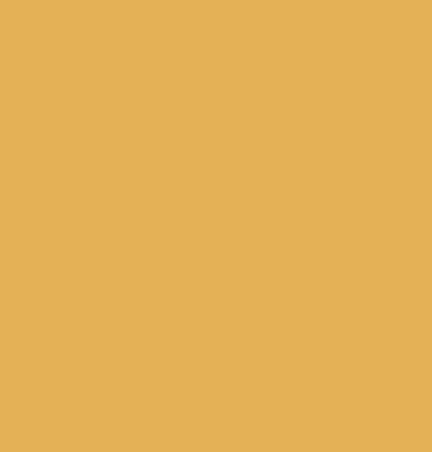Gold Full Voile Material