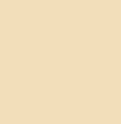 Light pastel yellow-orange  Full Voile Material