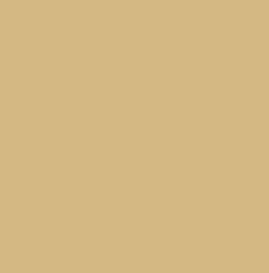 Golden Colour Full Voile Material