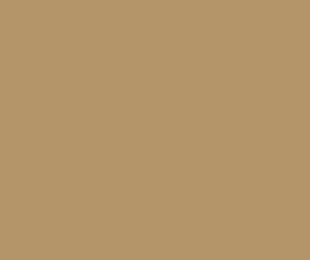 Golden Brown Colour Full Voile Material