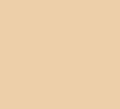 Light Brown-Beige Colour Full Voile Material