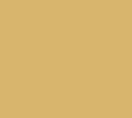 Pantone Colour Full Voile Material