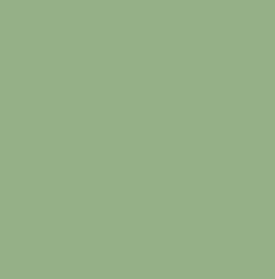 Pale Green  Full Voile Material