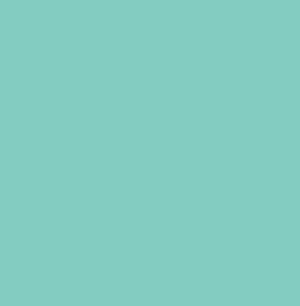 Aqua Teal Shade - Full Voile Material